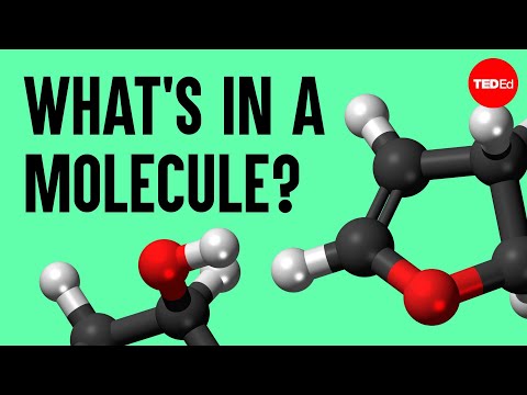 The science of macaroni salad: What's in a molecule? - Josh Kurz thumbnail