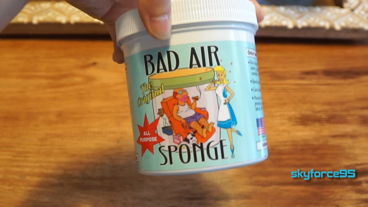 Bad Air Sponge Review 2023