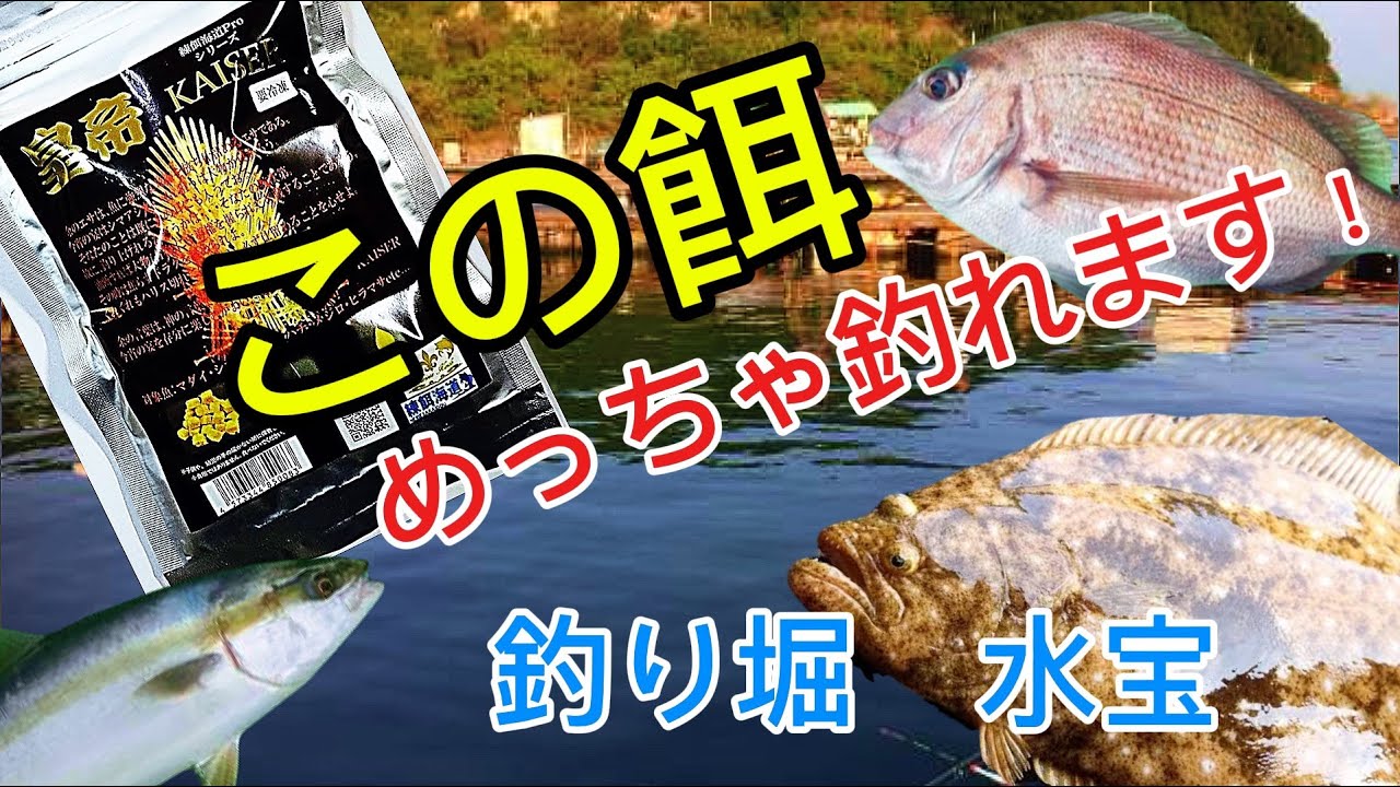釣り堀水宝さんに噂の餌で挑んできた🐟
