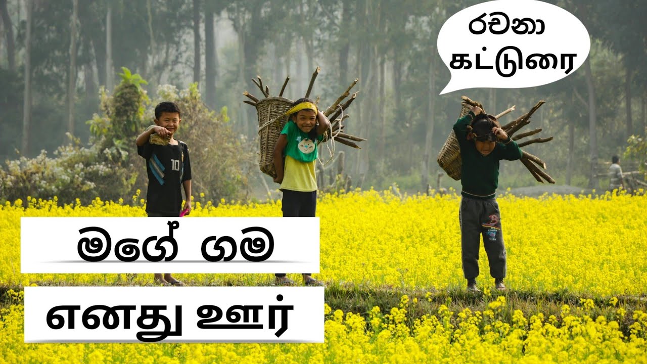 මගේ ගම ගැන රචනා| Essay about My village  | எனது ஊர்