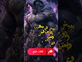 اشهر ملوك العفاريت الملك العفريت عالم الجن الجن العفاريت العوالم الاخرى الموازية