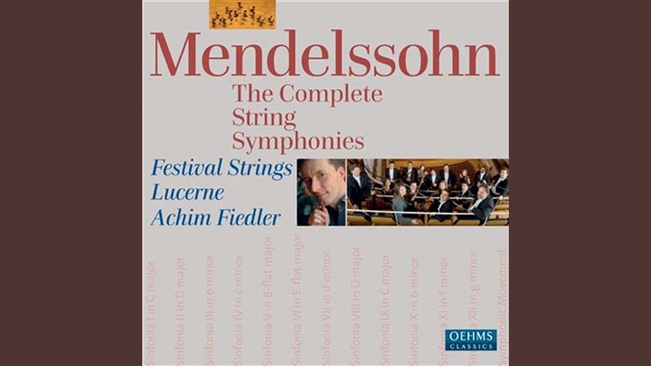 String Symphony No. 2 in D Major, MWV N 2: I. Allegro
