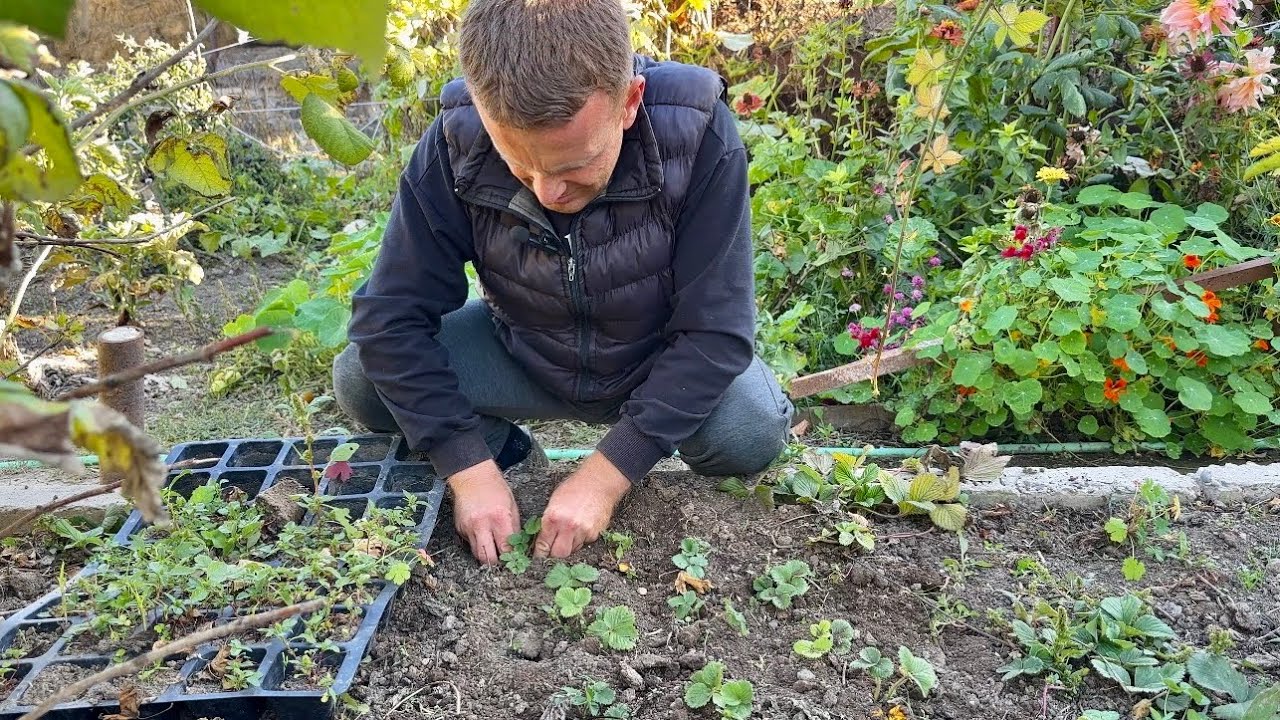 Ի՞ՆՉ ՏՆԿԵՑԻ ՀՈԿՏԵՄԲԵՐԻՆ - Հողամասում աշնանային գործեր արեցի - #Կյանքը գյուղում