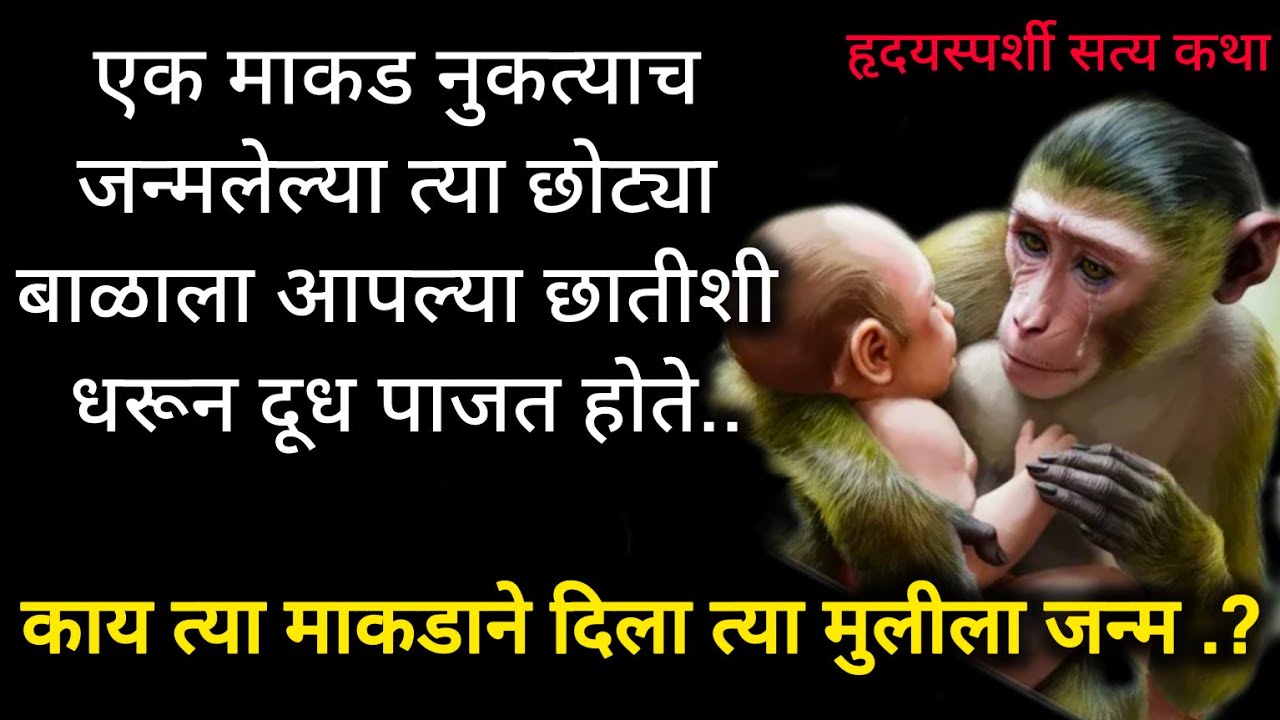एक माकड एका मानवी नवजात बाळाला आपले दूध पाजत होते ||मराठी स्टोरी || हृदयस्पर्शी कथा ||मुलगी | #story