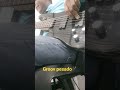 21 de julho de 2025