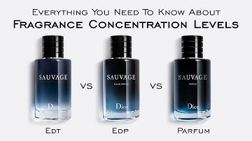Everything You Need To Know About Fragrance Concentration Levels - EDT, EDP, Parfum, & MORE