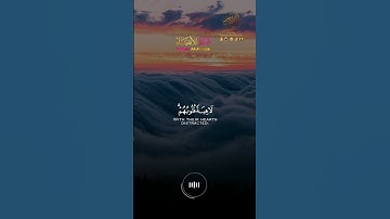- تلاوة خاشعة للأخ محمد لشرم من سورة الأنبياء ( اقترب للناس حسابهم ) 🌹