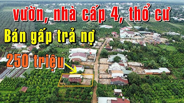 Tổng 250 triệu! BÁN GẤP trả nợ nhà cấp 4 giá rẻ thổ cư 7X28 ngay khu đông dân cư ở Gia Lai