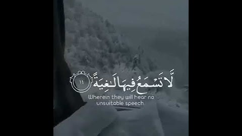 اكتب شئ تؤجر عليه 🤍🤍تلاوه هادئه مريحه للقلب