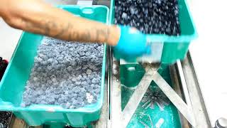 Cryogenic Deflashing of  EPDM Rubber Parts