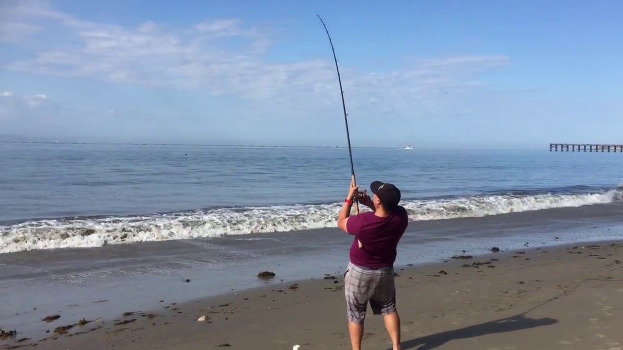 100lb Batray Surf Fishing California
