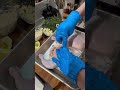 Rosemary butter garlic Chicken para maiba naman ang lechon manok natin