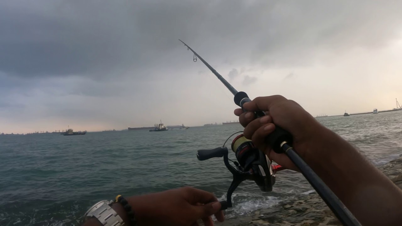 Eging in Singapore | tailwalk egist | shallow egi | Squid Fishing