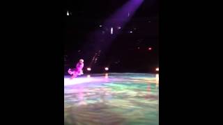 Tangled aerial stunts Net Worth