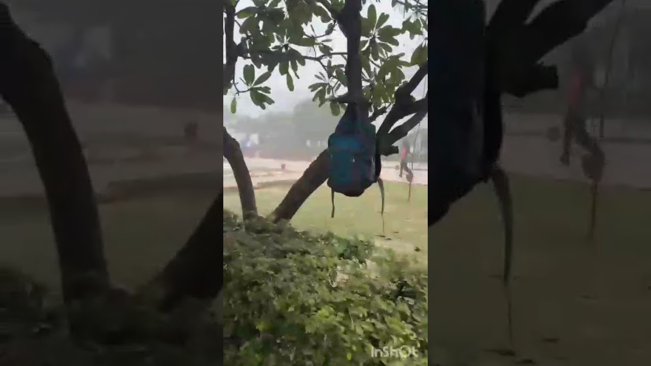 आज 12-01-2026 है। पानीपत में आपका स्वागत है।