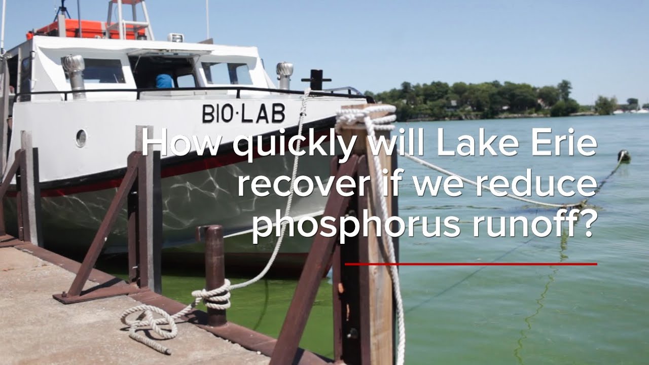 HABs FAQs: How quickly will Lake Erie recover if we reduce phosphorus ...