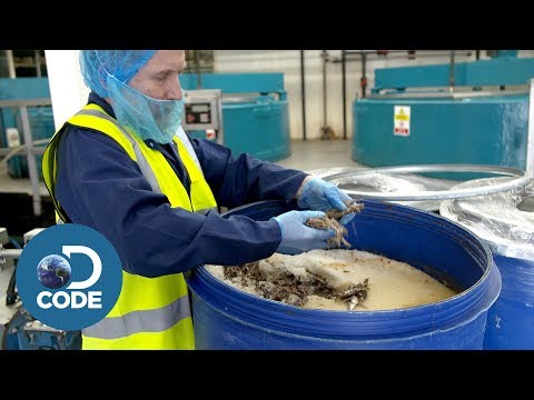 Video: Wofür Ist Worcestersauce?