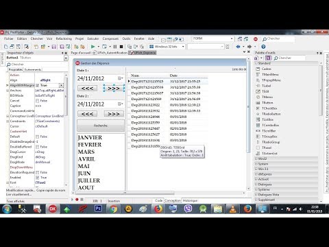 Rad Studio Delphi 013 Panel - 007 Margins & AlignWithMargins
