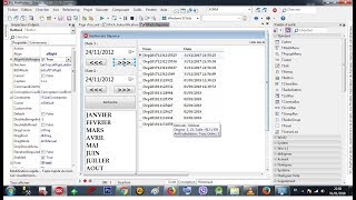 Rad Studio Delphi 013 Panel - 007 Margins & AlignWithMargins