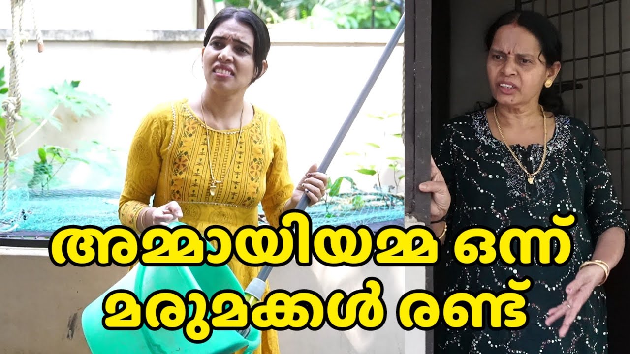 അമ്മായിയമ്മ ഒന്ന് മരുമക്കൾ രണ്ട് || Short film