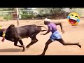 TENTE NÃO RIR 😂😁 Compilado De Momentos Engraçados Virais Da Internet 2025 #21
