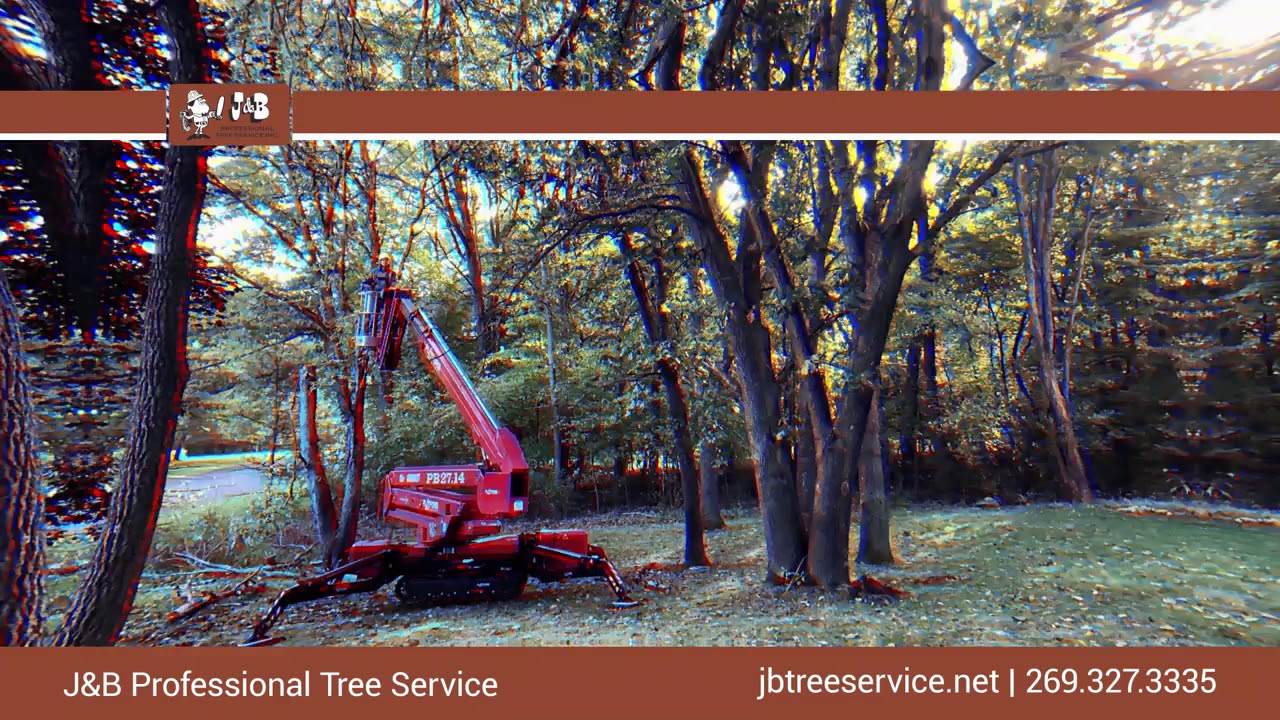 J & B Professional Tree Service Inc Kalamazoo Michigan 49024 YouTube
