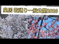 乾通り2026春季公開 初日行ってきました
