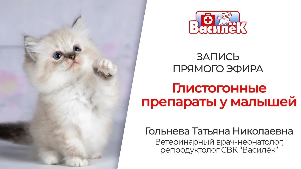 Глистогонные препараты у малышей Гольнева Т Н - YouTube