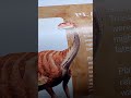 Dinasour Printer Sticker