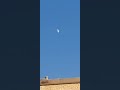 ירח לבן ירח לבן