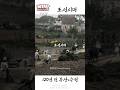 1906년 충격적인 조선시대 생활 모습 120년 전 '부산, 수원' 컬러복원 영상 '이렇게 살았다고? '  1906s Life in the Joseon Dynasty