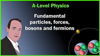 Fundamental Forces, Bosons and Fermions -  A-Level Physics