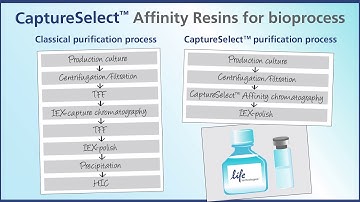 CaptureSelect™ Technology - Powerful Affinity for More Streamlined Purification