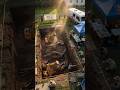 The Backyard Discovery That Shocked Scientists 🦖😳| #shorts #dinosaurs #trex #fossils