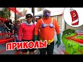 ЗАСМЕЯЛСЯ - ПОДПИСАЛСЯ! | FUNNY MOMENTS 2023 | 616 СЕКУНД СМЕХА! | #325