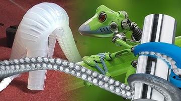 Unbelievable Soft body Robots That Can Do Impossible Things