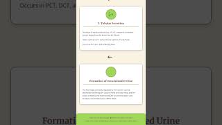 Mechanism of Urine Formation: Glomerular Filtration Rate GFR and Ultrafiltration