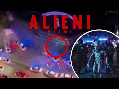 Aliens in Miami 2024! 🛸👽