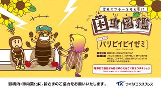 TX困虫図鑑パリピイピイゼミ