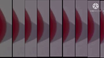 11 shuric scans with are slides V4