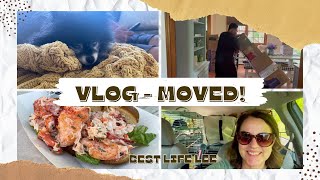 VLOG - MOVED!