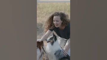 Two#puppies#Outside#look!