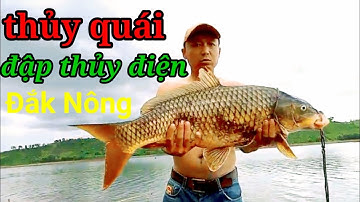 Câu cá chép đập thủy điện đak nông _ hồi hộp xem những pha lên cá chép khủng