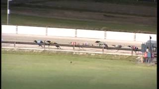 Albion-Park-03052015-Race-4