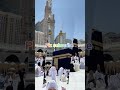 Feel the Peace ✨ | Masjid An-Nabawi – Heart of Madinah 🕋 | Islamic Short #shorts