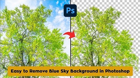 Easy to Remove Blue Sky Background in Photoshop - Photoshop 2025 Tutorials
