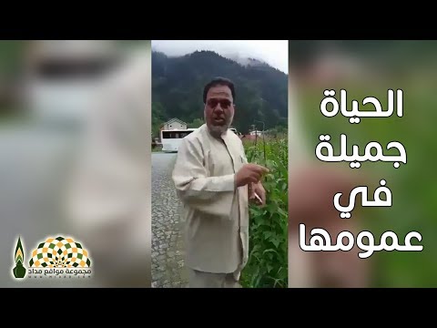 الحياة جميلة في عمومها وليس في التدقيق في تفاصيلها عبدالحميد بن زيد الحليبي