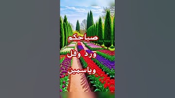 اللهم اجعل القران الكريم ربيع قلوبنا ونور صدورنا #اكسبلور #sooneeta #حالات_واتس #القرآن_الكريم