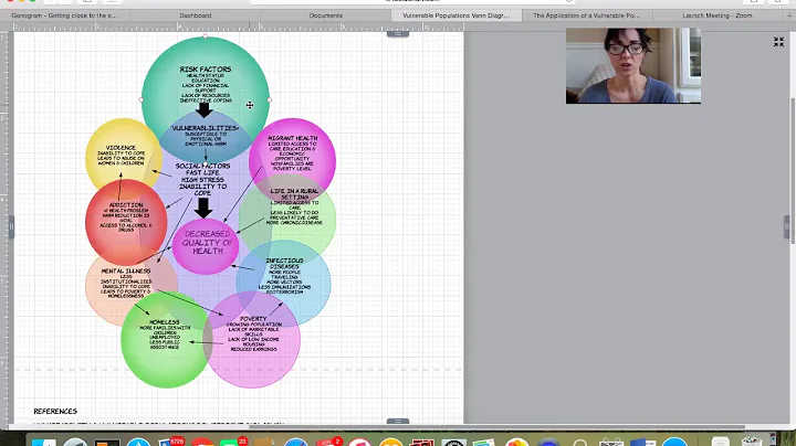 Vulnerable Populations Lucidchart Presentation
