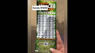 Penggemar Kirim Kemenangan Besar! #shorts #lotere #scratchers #menang